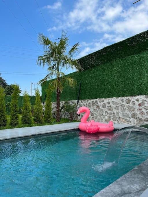 Shino Sapanca'Da Sicak Havuzlu Tatil Keyfi! Villa Exterior photo